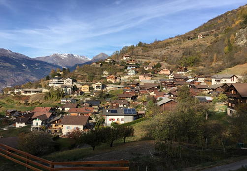 Brignon Nendaz, terrain agricole à vendre